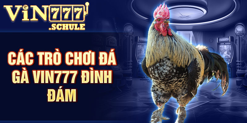 Các trò chơi đá gà Vin777 đình đám