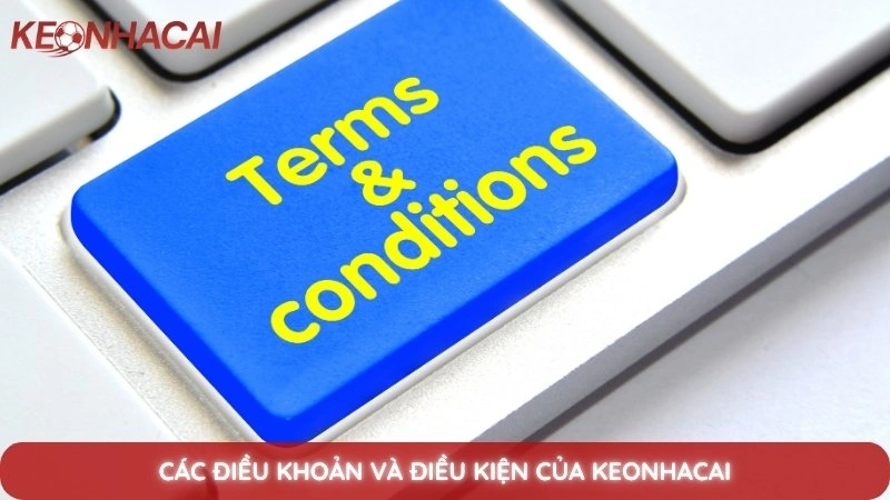 Các điều khoản và điều kiện của Keonhacai